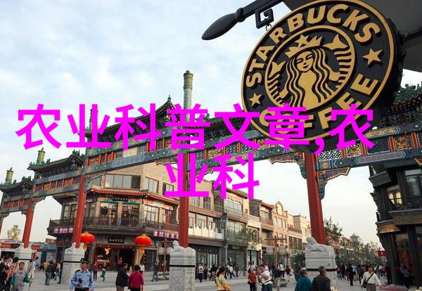 中国茶文化的古老传承与现代魅力