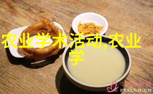 农民种植高价值作物赚钱如水稻玉米大豆等