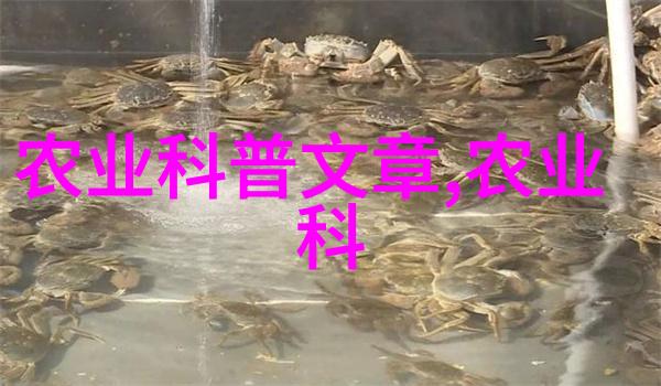 5种易管理的室内花卉助你家中添温馨又富贵气息