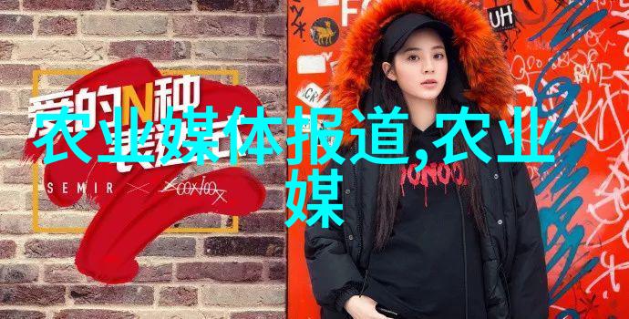 一张纸一颗心十厘米五角枫背后的故事与价格考量