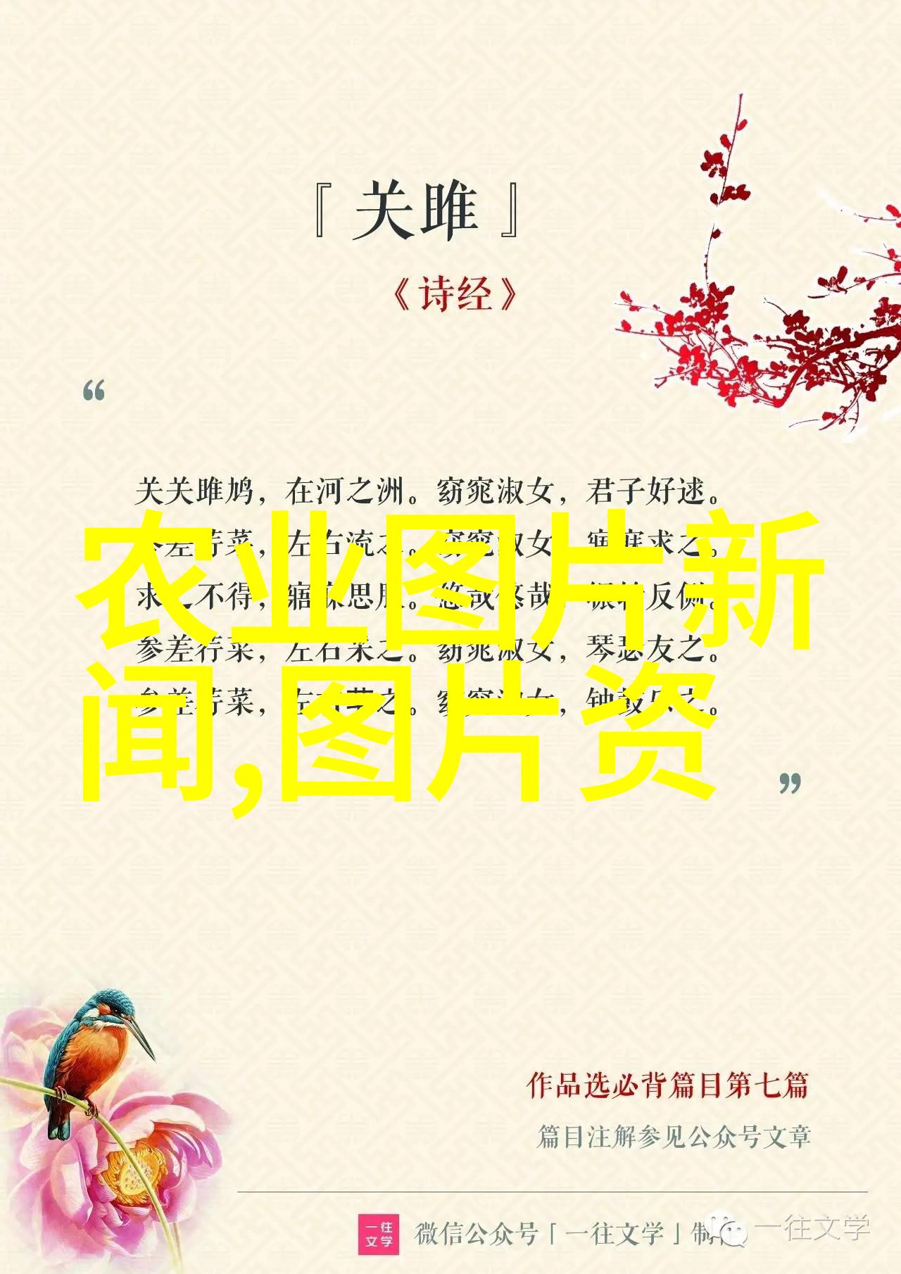 农村养殖什么好养又好卖我来告诉你一个绝妙的秘密它叫优质鸡蛋