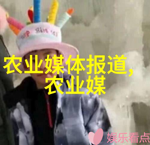 红花丹参黄芪现代药材种植的热门选择