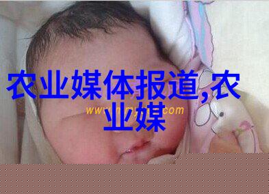 养蜂技术视频全过程-从建立蜂箱到收获蜜汁的完整指南