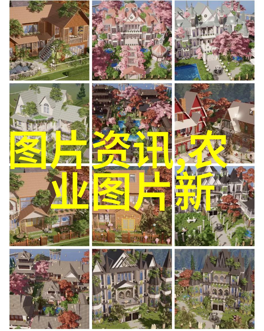 农业种植专家解答疑惑助力农民丰收成功