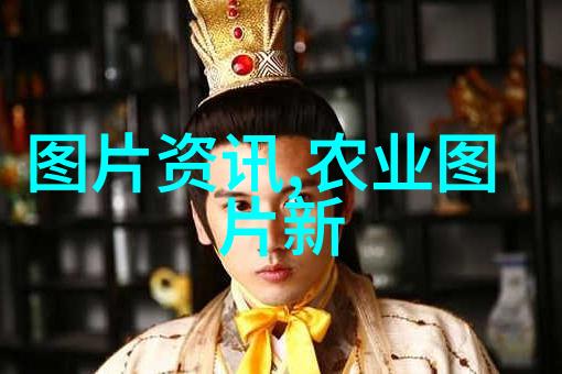 在寻找免费合作伙伴时我们应该关注哪些关键因素