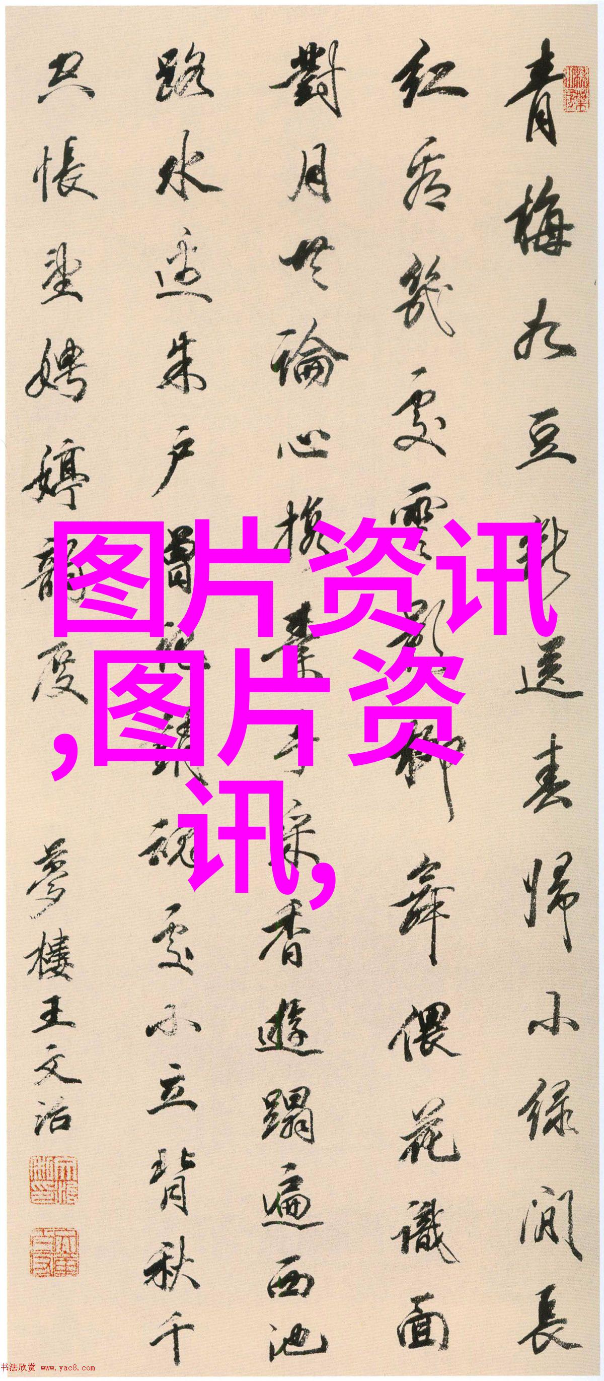 宠物的幸福生活如何让它们感受到最深的爱与尊重