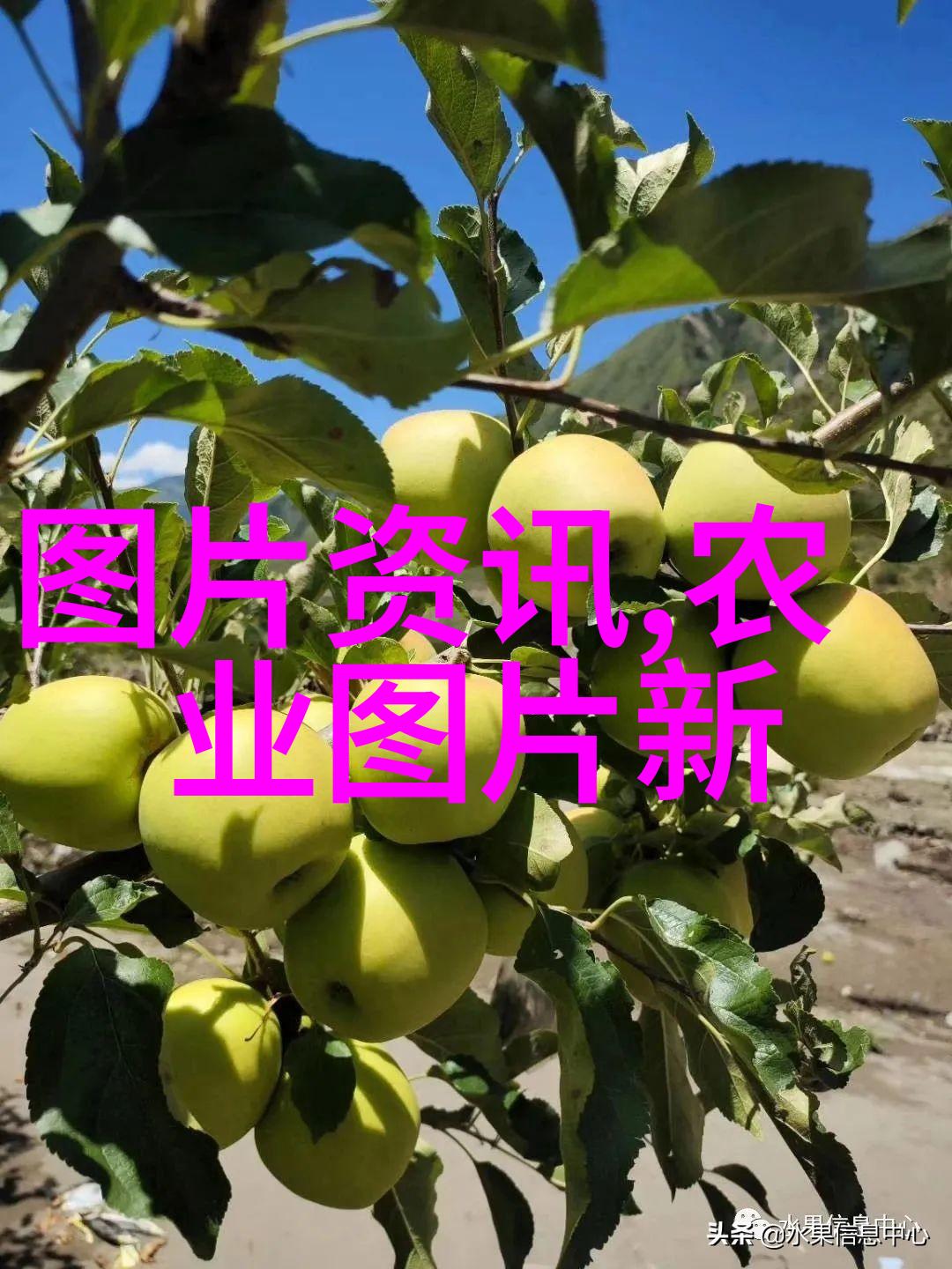 如何挑选出最有营养价值的蔬菜蔬菜超市有什么窍门