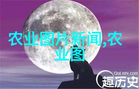 提升效益绿色发展现代农业生产技术的创新与实践