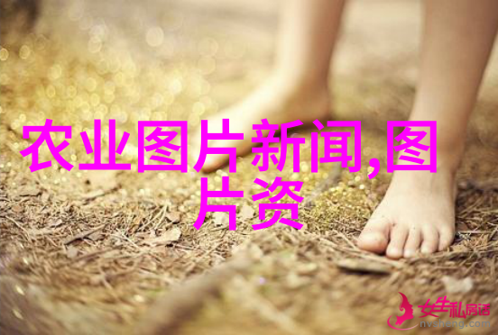 家里忌讳养仙人柱花香绕梁春意浓