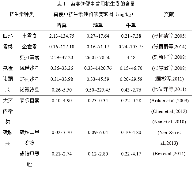 蔬菜种植专家免费咨询我来教你怎么种出最健康的家园蔬菜