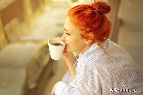翠绿之梦100种水果种子小盆栽