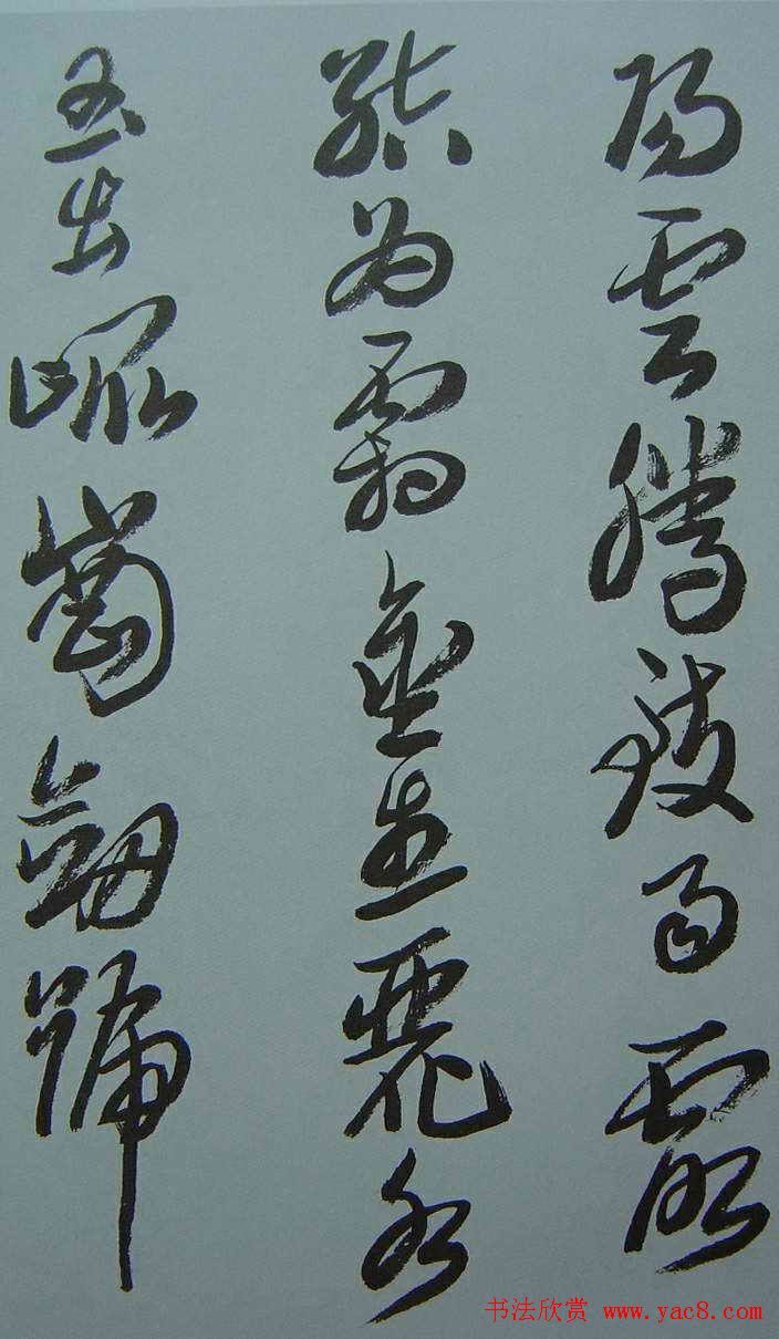 农村养殖高效利润项目生猪养殖鸡蛋生产蔬菜种植