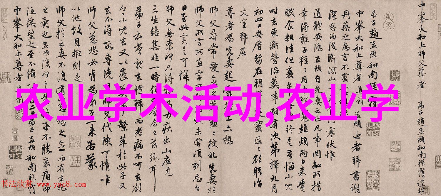 王国之交响王子与君主的重逢