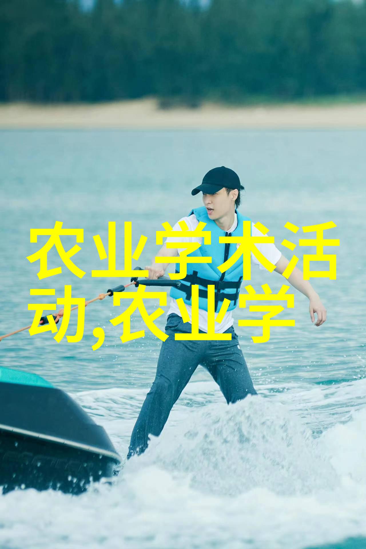花园中的艺术木本花卉的精彩世界
