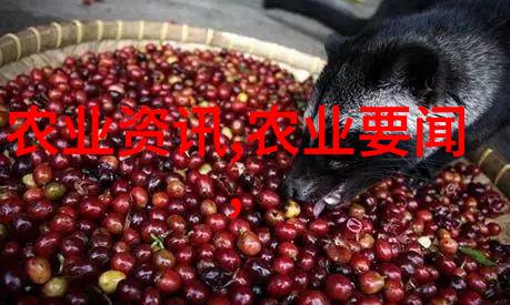 茶叶中的秘密揭开古老香气的神秘面纱