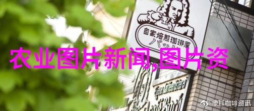 一亩田能否确保经济独立