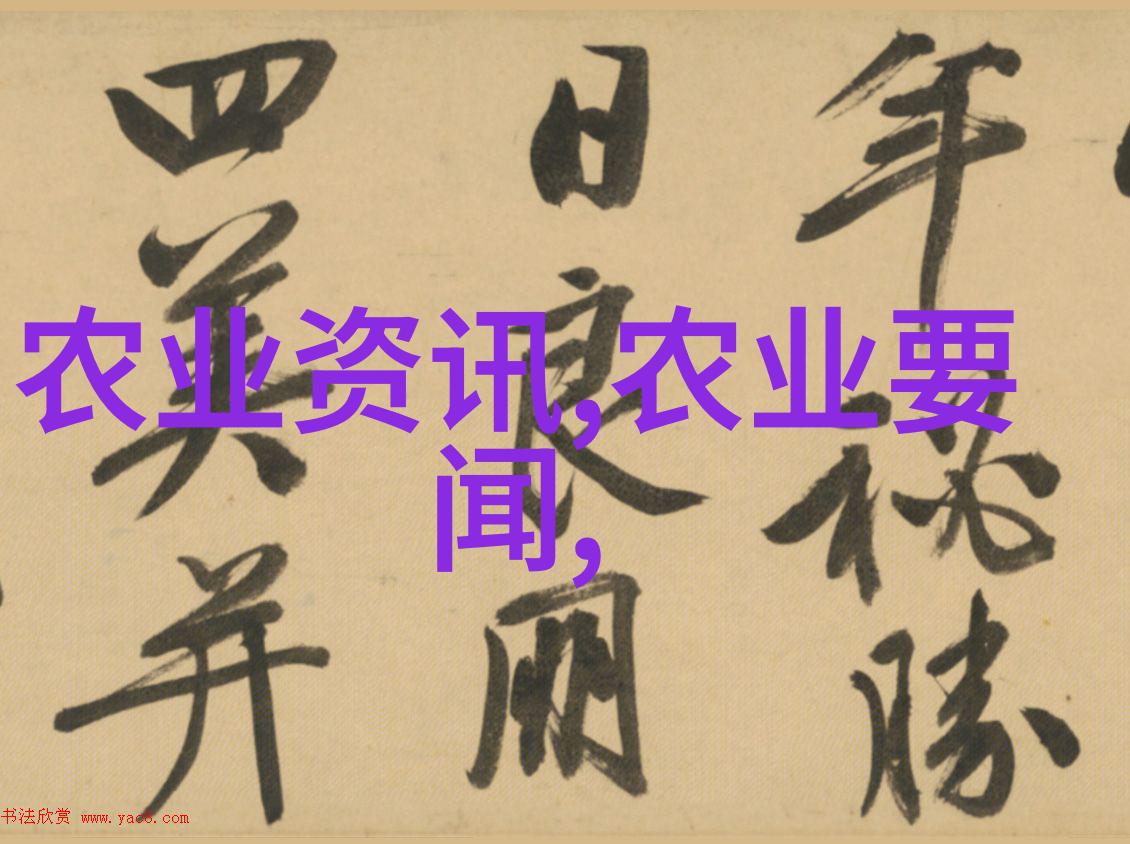 蜜源奇迹蜂群的巢城与我们的未来