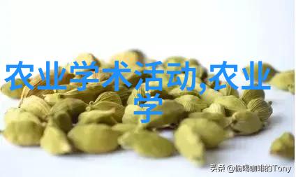 新春佳音2022年樱桃新品种引领未来果蔬趋势
