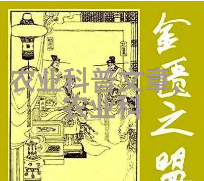 养牛技术培训我来教你怎么把牛养得肥滚滚