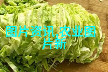 学术农业活动包括哪些_农业学术报告心得体会_农业学术活动