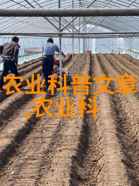 果实种子图谱解析植物繁殖策略与进化趋势