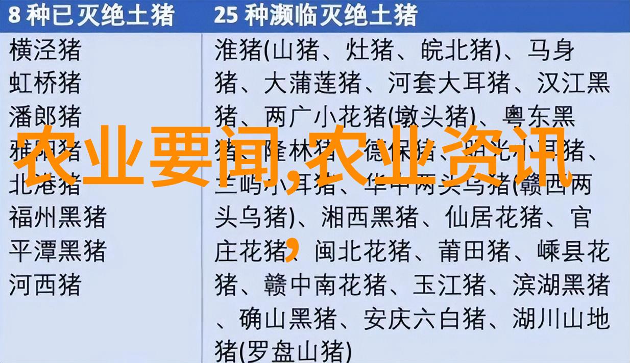 政策宣讲内容深度解析政策宣讲的精髓与实效