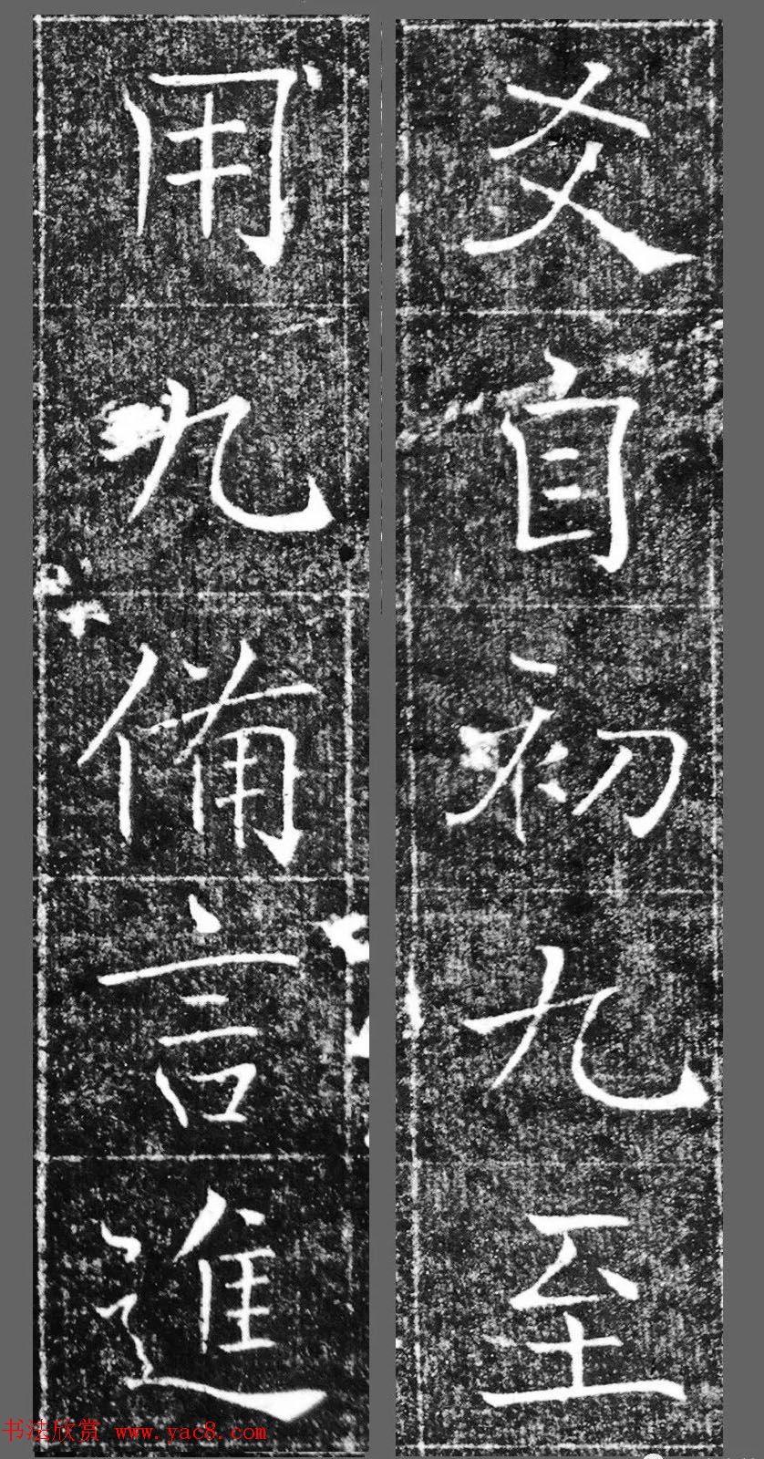 城市蔬菜角落里的果实梦想