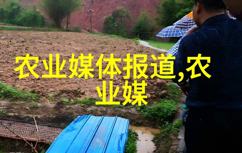 适合穷人的创业项目养殖我是如何用一点钱种出不少金的
