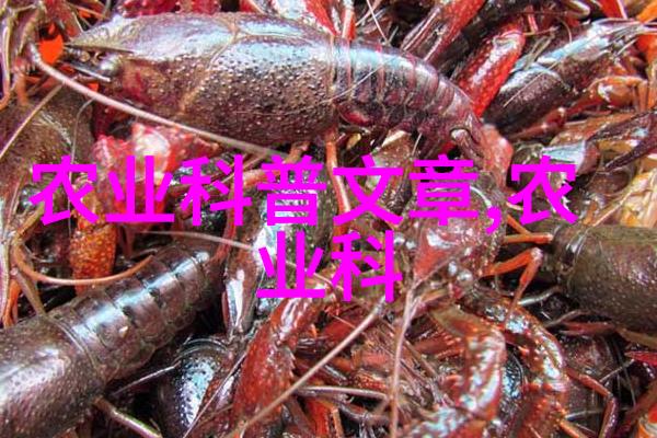 从绒毛到丝线我如何用一把汗水和一份爱心种出了一整片笑话田