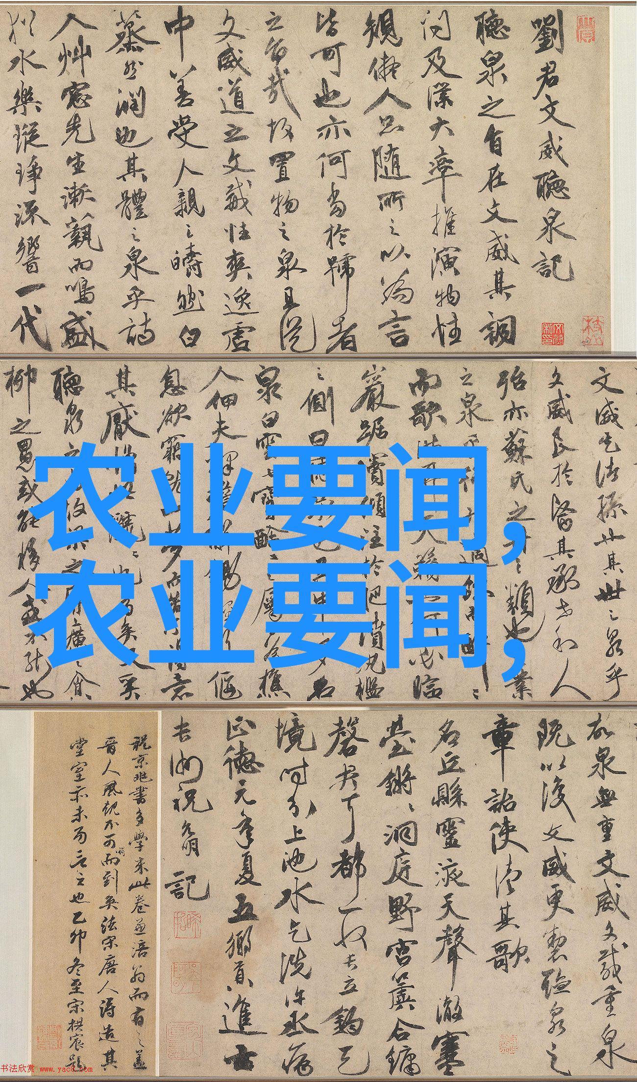 春日漫步中的花海探索花卉种植艺术的魅力
