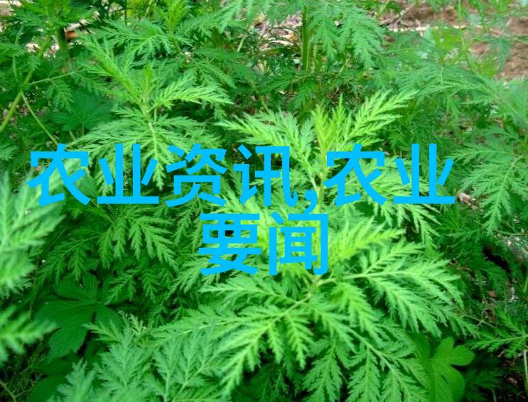 真心为民解难题 试验效果初显现 - 工作动态 - 湖