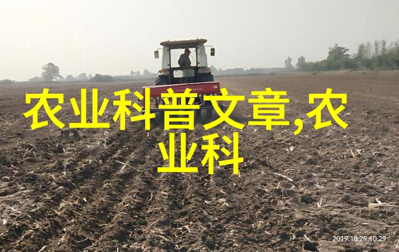 国际贸易政策如何影响我国的粮油出口和进口