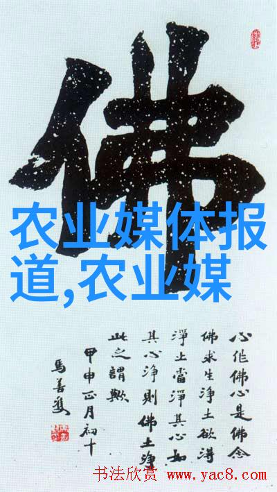 我来告诉你名贵水果大排行品味生活的精华