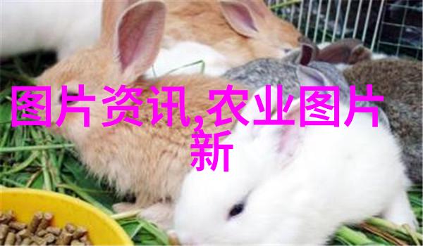 新的一年新机遇2023养蜂补贴计划启动