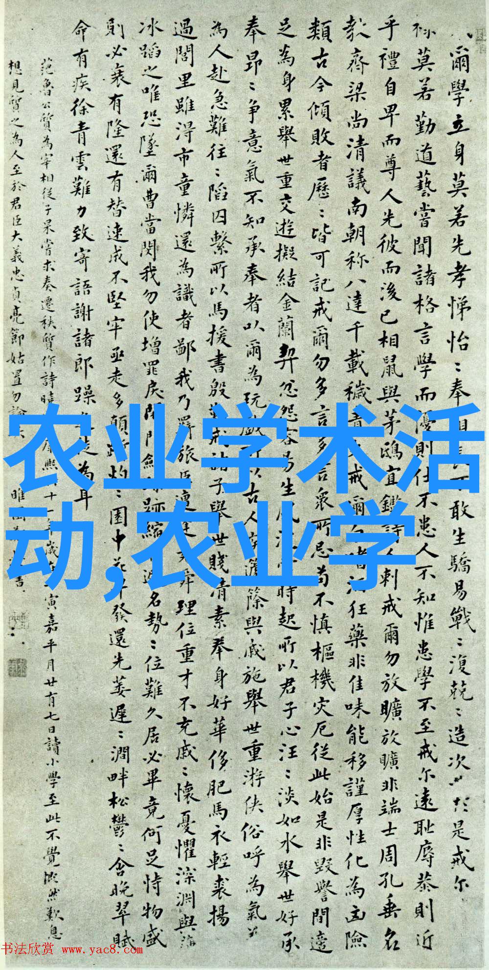 ZOOM人牛OKZOOM俄罗斯我是如何在俄罗斯用牛这个词儿赢得ZOOM的