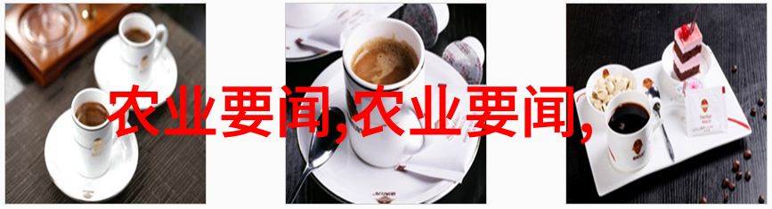 为促进世界和平安宁和人类共同进步携手努力在庆祝成立75周年招待会上的重要讲话引发国际社会广泛共鸣