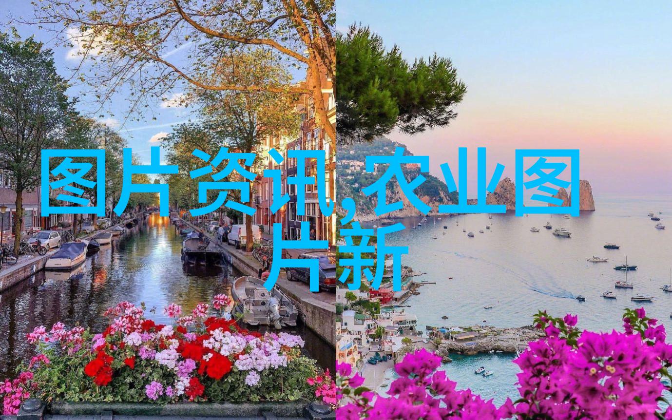 秋播作物巧施微肥有利高产