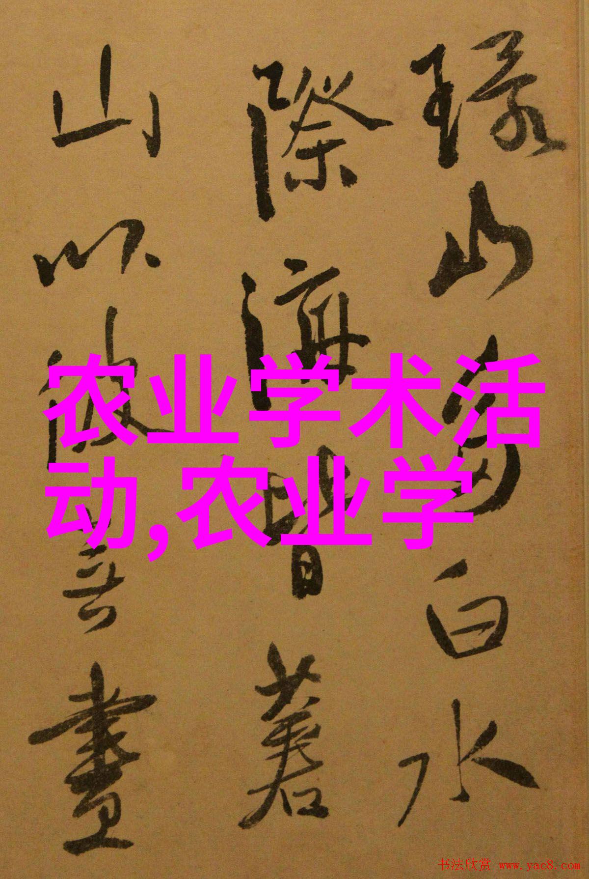 花卉种植的大型项目规划中是否需要考虑未来空间布局