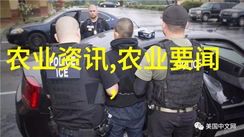 蜜蜂养殖技巧简析