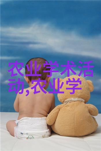 金丝楠苗木的价值10公分之珍