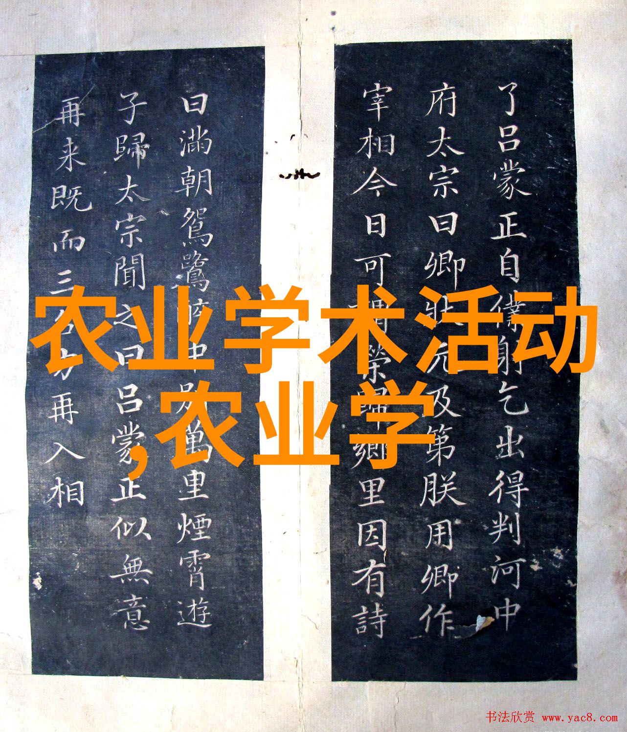 重生后嫁给废太子我是怎么从宠儿变成帝后的