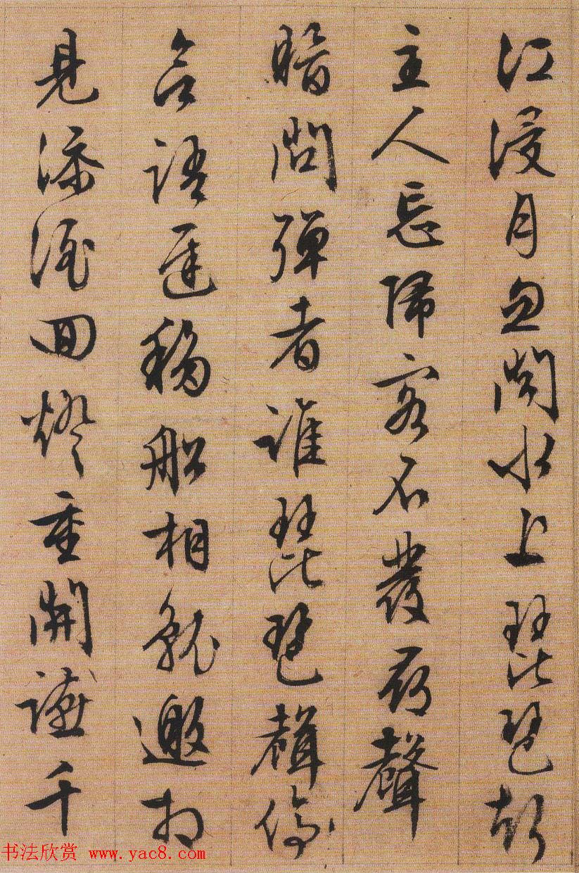 10公分紫叶稠李价格盘点园艺爱好者必备的经济实惠选择