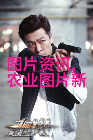 民法典的地位与意义法律基础与社会发展的重要篇章