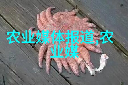一亩三番丰收记 种植精准养护让每株树木都能发挥最大效益