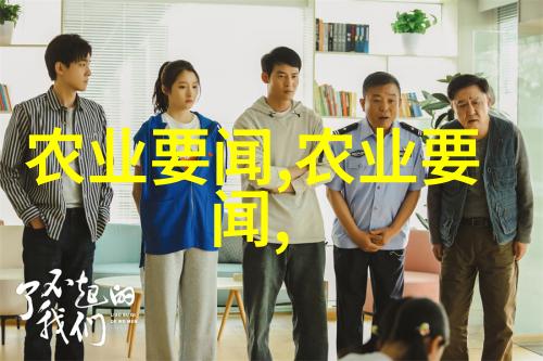 如何用正面强化训练方法提高小狗的社交技能