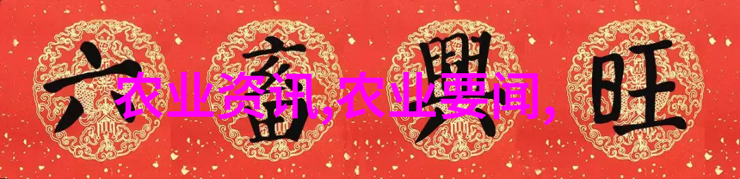 胸大探秘揭秘我初1的自信之旅