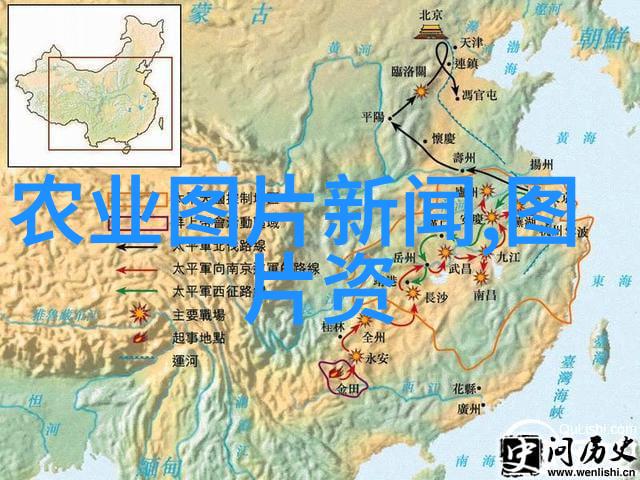 油菜机械化移栽新模式 移栽1亩油菜苗只需20分钟