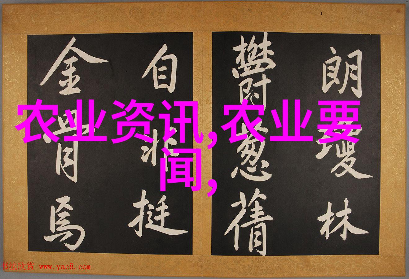香菇梦想一亩大棚背后的投资秘密