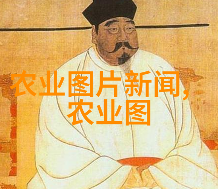一亩大棚投资多少钱我来告诉你这套房子到底要花多少