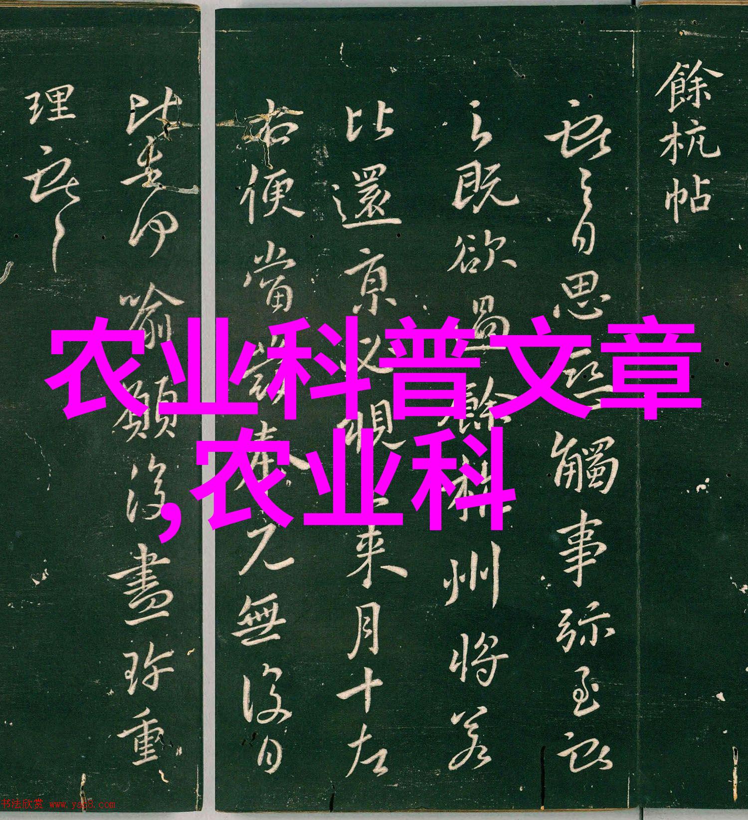 人物如何正确使用吸粮机并进行维修注意事项